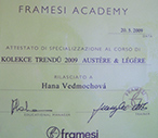 Framesi academy