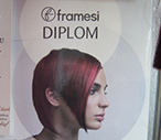 Framesi